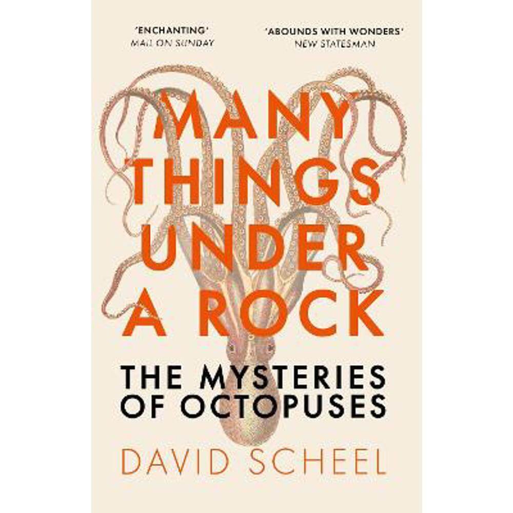 Many Things Under a Rock: The Mysteries of Octopuses (Paperback) - David Scheel